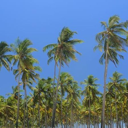 Tiara Fiesta Beach Cottages 莫尔吉姆 外观 照片